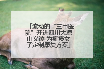 流动的“三甲医院”开进四川大凉山义诊 为瘫痪女子定制康复方案